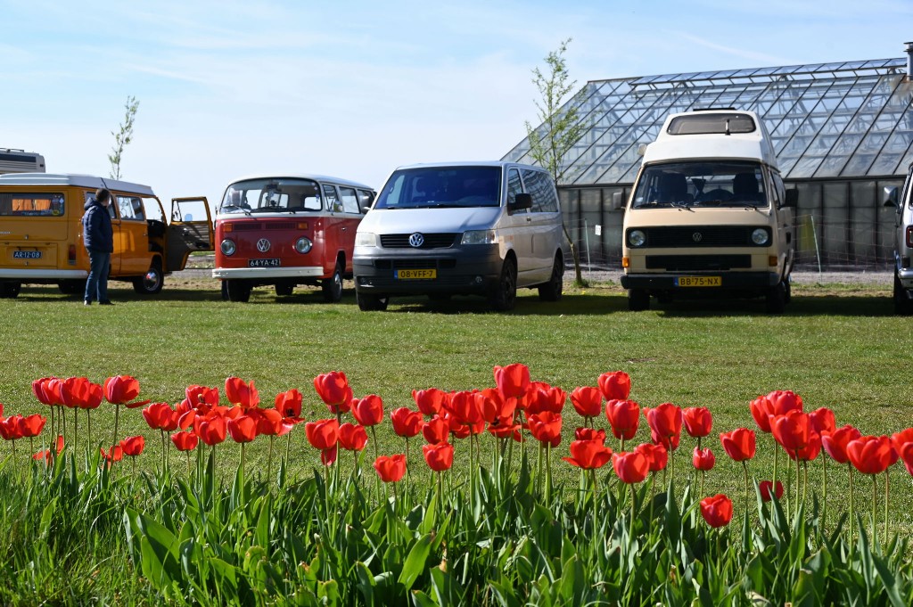 ../Images/Bollenrit Team Bollenstreek 010.jpg